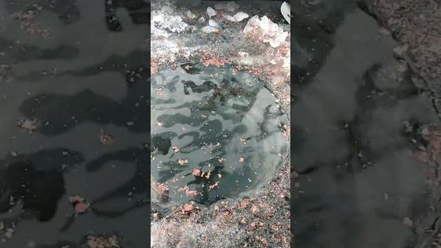 Хотомля 13.01.2021.Чёрные камни смотреть онлайн