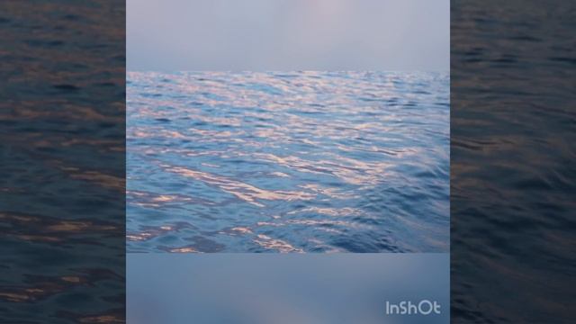 16-01-2024 смотреть онлайн