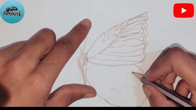 Discover the Hidden Artistry: Drawing Beautiful Butterflies Made Easy смотреть онлайн
