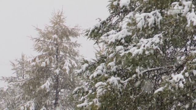 Ноябрь в Братске будет чуть теплее привычного смотреть онлайн