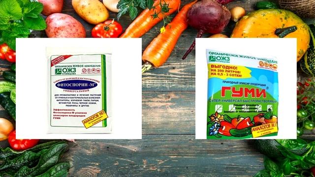 Очередное заседание клуба "Зелёный дар" руководитель Романова Л.И. МКЦ г. Шацк смотреть онлайн