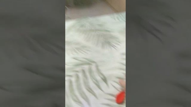 ДАРТС!!! Посчитайте сколько очков!! смотреть онлайн