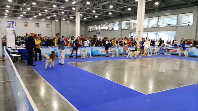 Евразия-2 2017. Аату. Кобели Чемпионы смотреть онлайн