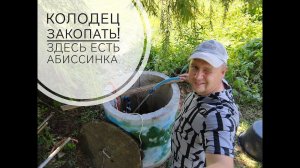 Что делать. Колодец решить проблемы с водой не может.