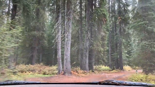 October 2021: matsutake madness смотреть онлайн