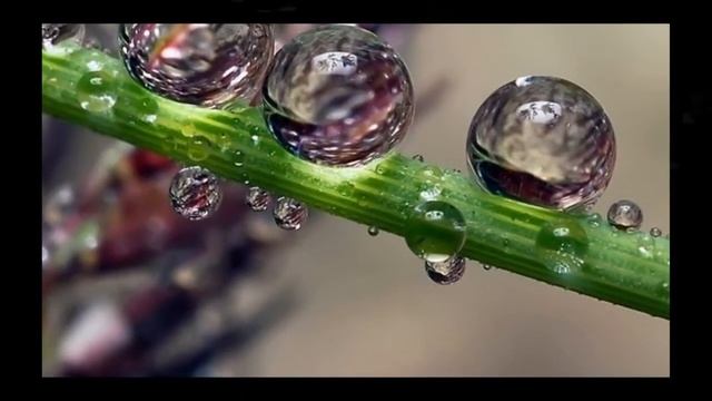 Взгляни на мир по другому смотреть онлайн