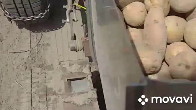 "Картофеле сажалка+ Дозатор Удобрения"- результат обрадовал?? смотреть онлайн