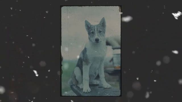 М. Тарковский «Осень» читает Носач О.В. смотреть онлайн