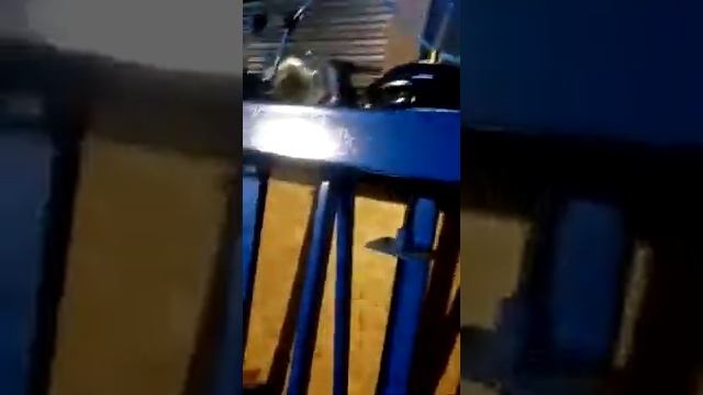 Вайма пневматическая. Проверка.