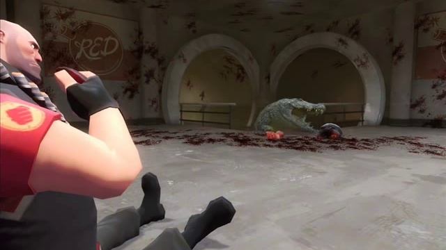 Heavydile Meets A Crocodile...