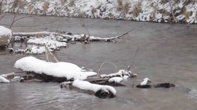 Линдси Стирлинг(1)