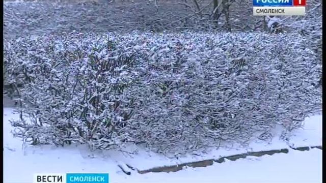 Улицы областного центра покрылись снегом смотреть онлайн