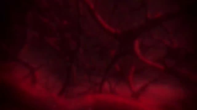 МАГИЧЕСКАЯ БИТВА ЗА 10 МИНУТ