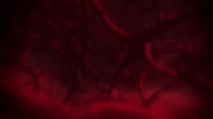 МАГИЧЕСКАЯ БИТВА ЗА 10 МИНУТ