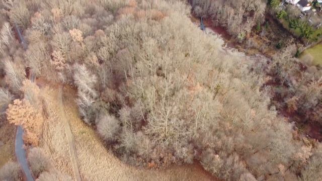 Sovata2021 2s смотреть онлайн