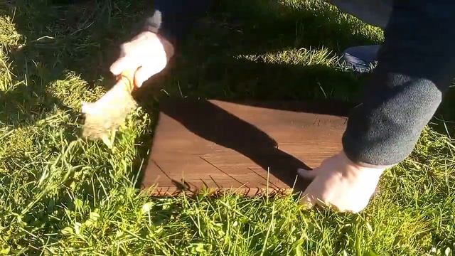 Браширование древесины. Красивая полка из тёмного дерева. смотреть онлайн