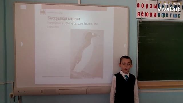 Проект "Красная книга, или Возьмём под защиту", Чендылов П. А, 2 класс. смотреть онлайн