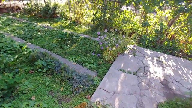 Священный Эчмиадзин и Манвел Григорян смотреть онлайн
