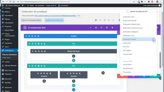 Campos y posts personalizados con Divi y con PHP en WordPress смотреть онлайн