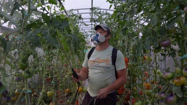 Домашний клуб самоубийц по другому я не могу это назвать смотреть онлайн