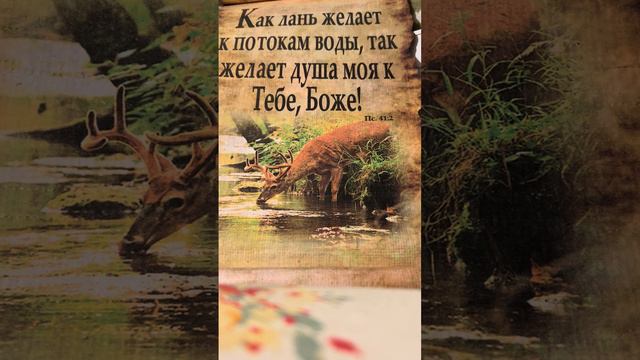 НЕТ УЖЕ НИ ЖЕНСКОГО И НЕ МУЖЕСКОГО ПОЛА НО ВСЕ ВЫ ОДНО ВО ХРИСТЕ смотреть онлайн