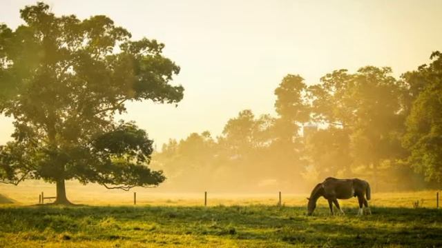 Relax, Meditation Music