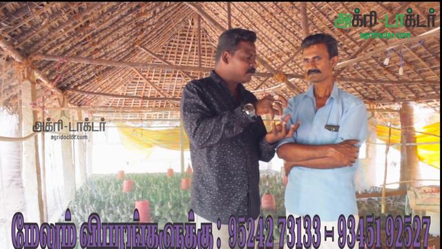 காடை பண்ணை அமைப்பது எப்படி