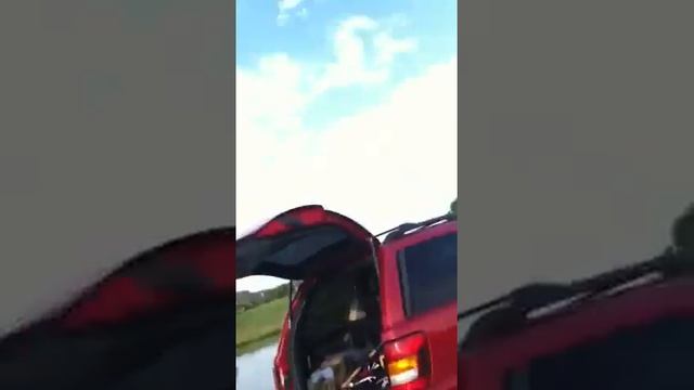 Redneck fishing! смотреть онлайн