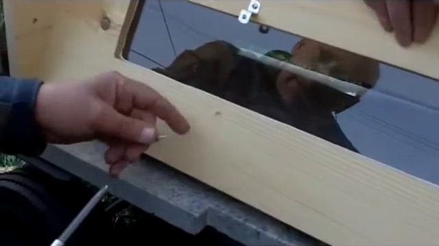 How to Assemble a Gold Star Top Bar Hive - Christy Hemenway смотреть онлайн