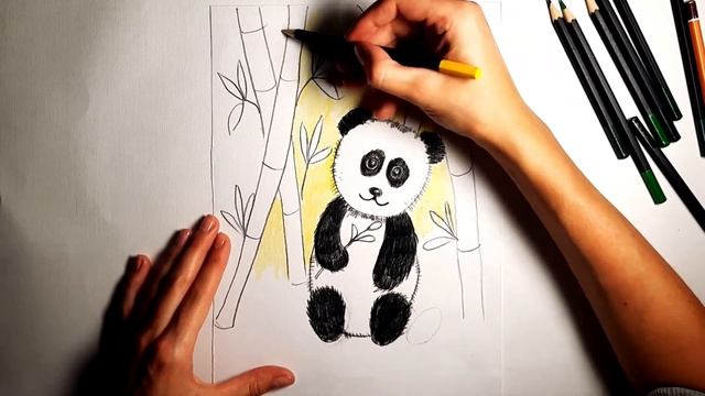 Как нарисовать панду цветными карандашами смотреть онлайн