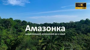 Amazon — самый большой тропический лес в мире от ТОПЛЕС