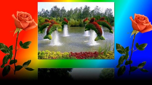 ## Цветы в Озеленение Городов ## смотреть онлайн