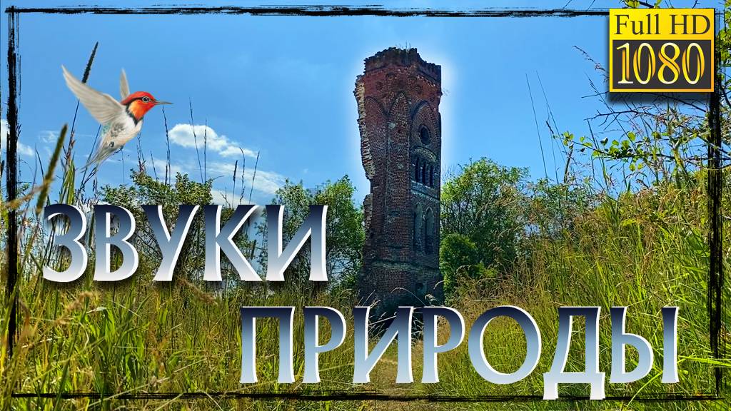 Расслабляющие звуки природы, релакс, пение птиц на фоне старой башни. Звуки для отдыха . HD 1080p смотреть онлайн