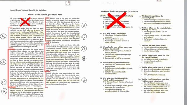 TestDaf часть Leseverstehen | Как сдать без проблем смотреть онлайн