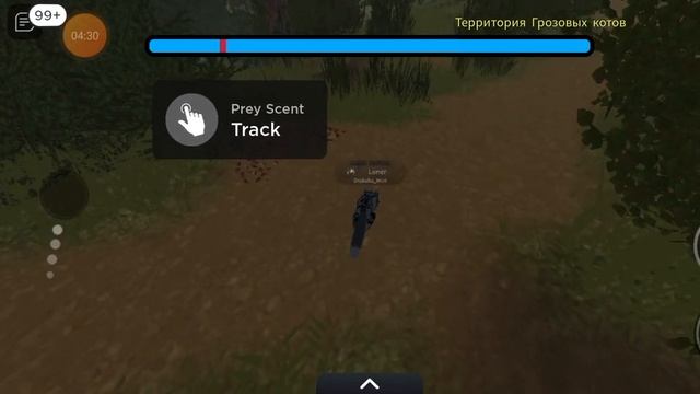 учу ловить добычу в котах воителях роблокс, зайц, мышь, рыба. смотреть онлайн