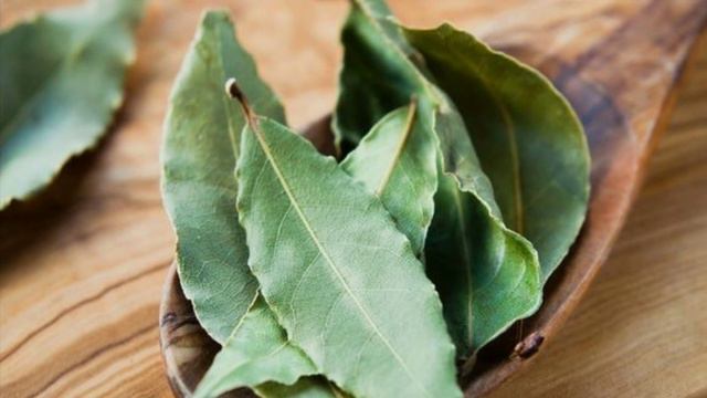 ЦИСТИТНИ 1 КУНДА ДАВОЛАШ. Циститни уй шароитида даволаш Аёлларга фойдали маслахат