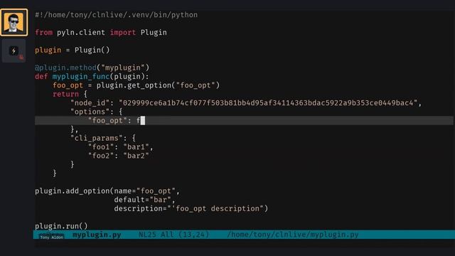 Start writing Core Lightning plugins with pyln-client TODAY! | LNROOM #10 смотреть онлайн