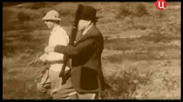 Английский сеттер смотреть онлайн