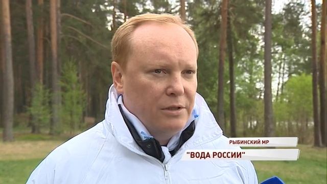 Волонтеры убрали с берега Волги мусор в рамках акции «Вода России» смотреть онлайн