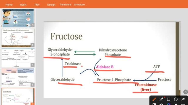 Galaktoza, fruktoza va piruvat degidrogenaza смотреть онлайн