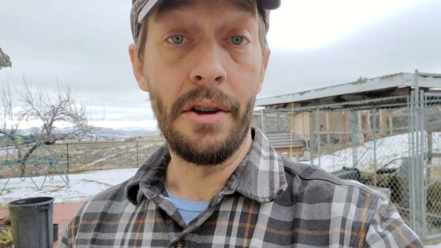 Temperature & Speed of Perennial Rye Grass Seed Germination: How Fast It Grows At Different Temps смотреть онлайн