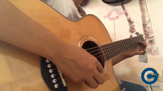Guitar Acoustic Performer ( S10c) | Test Sound смотреть онлайн