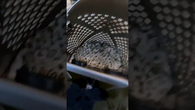 в море водятся серебряные змеи смотреть онлайн