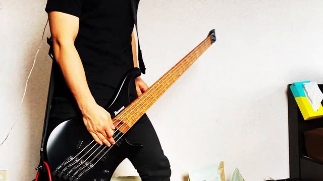 A Day To Remember - Exposed || Bass Cover смотреть онлайн