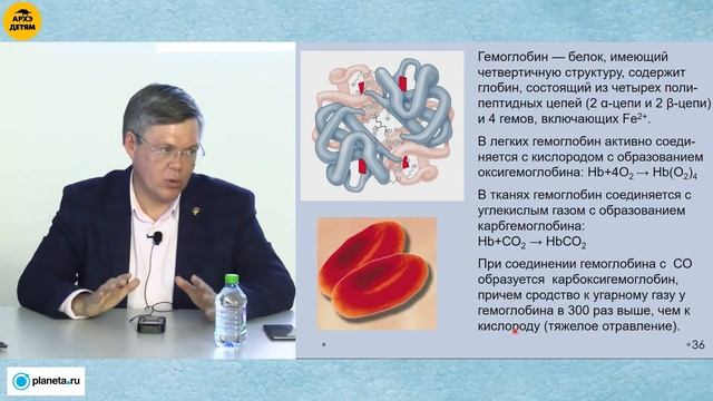 Вячеслав Дубынин: "Система крови" (Лекция 4) смотреть онлайн