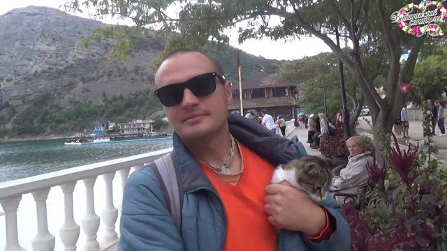 Фото с кошкой - неудачный бизнес смотреть онлайн