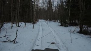 проверка капканов , добыл кабана