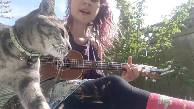 Steven Universe | Just a Comet (cover) смотреть онлайн
