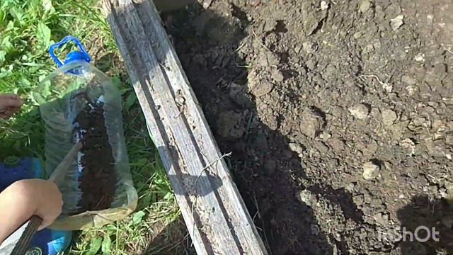 Выкопали картошку #Посадила цветы . Шашлык из кролика. Собрали вкусняшку для циыплят