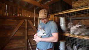 Кролики. Клетки для кроликов. Содержание кроликов